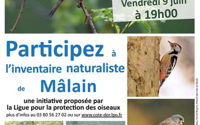 Inventaire de la biodiversité communale